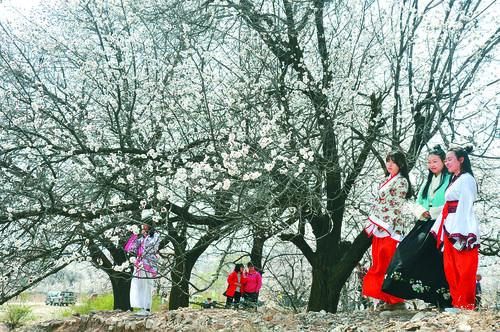 太阳成城集团全球总部园区鸟瞰图